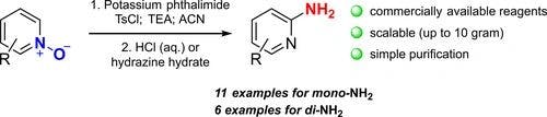 Simple and Efficient Method for Mono‐ and Di‐Amination of Polypyridine N‐Oxides