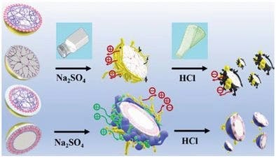 Investigation of physicochemical drivers directing ionic liquid assembly on polymeric nanoparticles