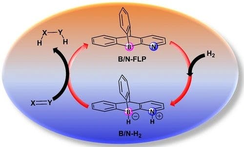 Unraveling Reactivity Pathways: Dihydrogen Activation and Hydrogenation of Multiple Bonds by Pyramidalized Boron‐Based Frustrated Lewis Pairs