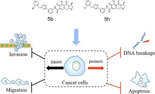 Synthesis of compounds based on the active domain of cabotegravir and their application in inhibiting tumor cells activity