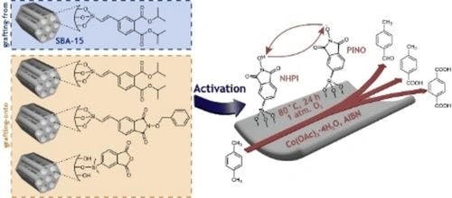Covalent bonding of N‐hydroxyphthalimide on mesoporous silica for catalytic aerobic oxidation of p‐xylene at atmospheric pressure