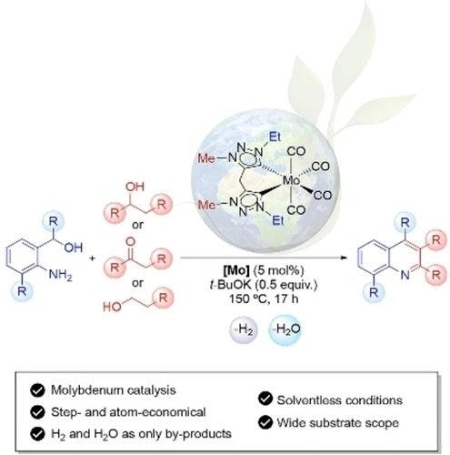 Molybdenum Catalyzed Acceptorless Dehydrogenation of Alcohols for the Synthesis of Quinolines