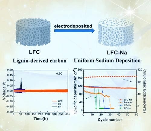 Lignin‐Derived Functional Carbon Framework for Homogeneous Sodium Deposition
