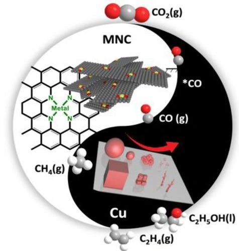 Electrochemical CO2 Activation and Valorization on Metallic Copper and Carbon‐Embedded N‐Coordinated Single Metal MNC Catalysts
