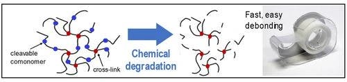 New Chemistries for Degradable Pressure‐Sensitive Adhesive Networks
