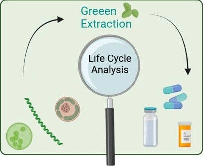 Sustainable Point of View: Life Cycle Analysis for Green Extraction Technologies