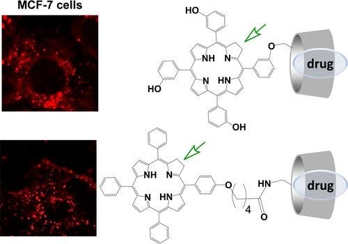 Amphiphilic Chlorin‐β‐cyclodextrin Conjugates in Photo‐Triggered Drug Delivery: The Role of Aggregation