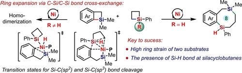 Ring Expansion toward Disila‐carbocycles via Highly Selective C−Si/C−Si Bond Cross‐Exchange