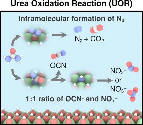 Understanding the Mechanism of Urea Oxidation from First‐Principles Calculations