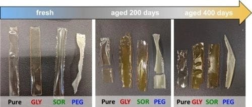 Green Additives in Chitosan‐based Bioplastic Films: Long‐term Stability Assessment and Aging Effects