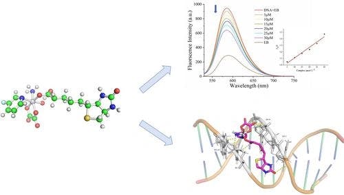 Synthesis and DNA Interactions Study of Novel Fluorinated Pyridinium Platinum (IV) Complexes with Tumor Targeting Activity