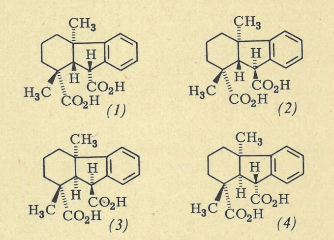 Vor 50 Jahren in den Nachrichten aus der Chemie: Bitterer Süßstoff