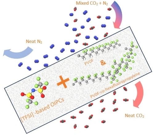 Insights into the Carbon Dioxide Separation Performance of Bis(trifluoromethylsulfonyl)imide‐based Plastic Crystal Composite Membranes with Fluorinated Polar Polymers