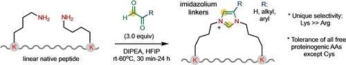 Peptide Stapling by Crosslinking Two Amines with α‐Ketoaldehydes through Diverse Modified Glyoxal‐Lysine Dimer Linkers