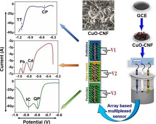 Copper Oxide Anchored Carbon Nanofibers: A Versatile Platform for Multiplex Detection of Antibiotics, Heavy Metals and Pesticides