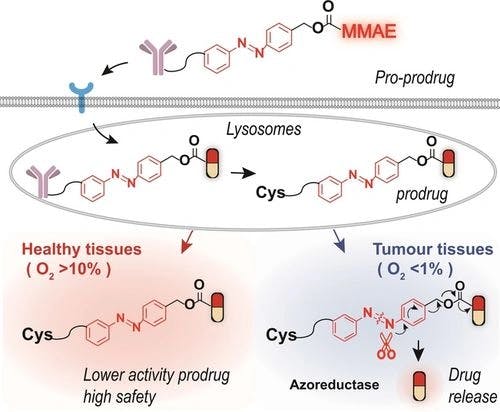 Azobenzene‐Based Linker Strategy for Selective Activation of Antibody–Drug Conjugates
