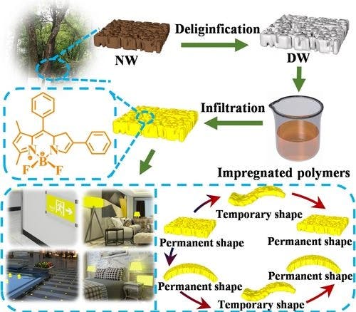 Shape‐Editable Transparent Wood Based on In‐Situ Polymerization of Epoxy Vitrimers Embedded with Luminescent BODIPY Molecules for Smart Decoration Materials