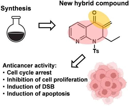 Synthesis And Anticancer Activity Of New Hybrid 3‐Methylidene‐2,3‐Dihydro‐1,8‐Naphthyridinones