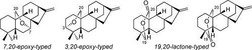Recent Developments in the Syntheses of C‐20‐Oxygenated ent‐Kaurane Diterpenoids