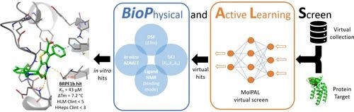 Accelerating BRPF1b hit identification with BioPhysical and Active Learning Screening (BioPALS)