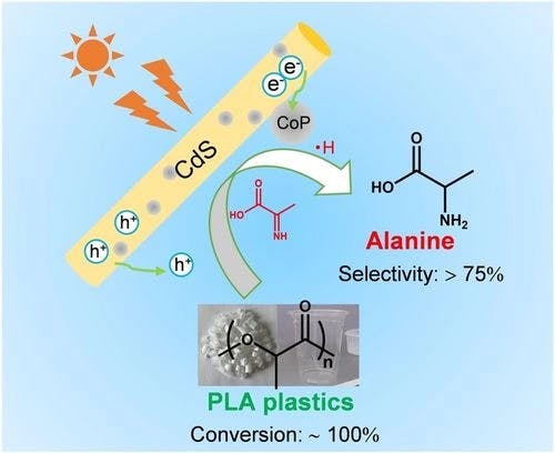 Photocatalytic Upgrading of Polylactic Acid Waste into Alanine under Mild Conditions