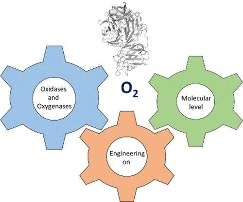 Current Advances in the Enzyme Engineering of O2‐Dependent Enzymes – Boosting the Versatility and Applicability of Oxygenases and Oxidases