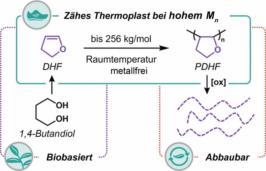Ein biobasierter, starker und abbaubarer Thermoplast