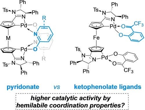 Planar Chiral Ferrocendiyl and Ruthenocendiyl Bisimidazoline Bispalladacycles Featuring Pyridin‐2‐olates and Ketophenolates as Potentially Hemilabile Ligands in Asymmetric 1,4‐Additions
