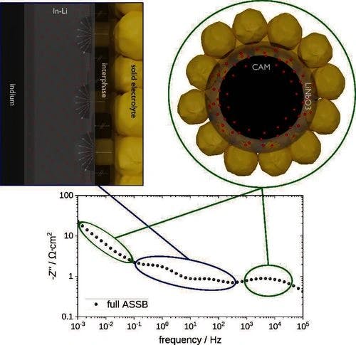 On the Origin of Anode and Cathode Contributions to the Impedance of All‐Solid‐State Batteries