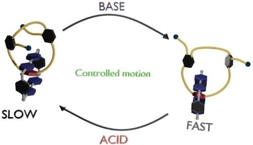Dynamic control of circumrotation of a [2]catenane by acid‐base switching