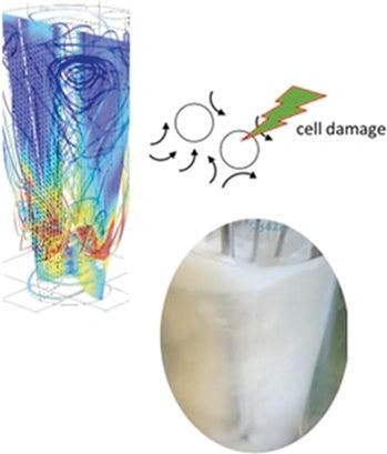 Review on the Impact of Impeller‐induced Hydrodynamics on Suspension Cell Culture for Production of Biopharmaceuticals