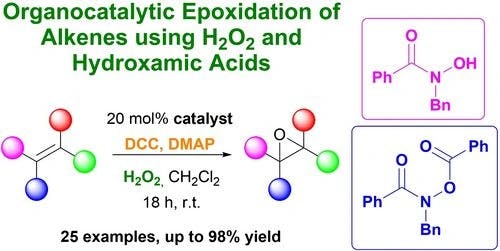 Exploiting Hydroxamic Acids as Organocatalysts for the Epoxidation of Alkenes with Hydrogen Peroxide as the Oxidant
