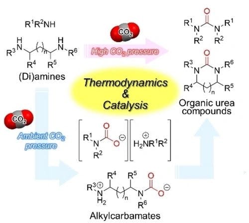 Thermodynamic and Catalytic Insights into Non‐Reductive Transformation of CO2 with Amines into Organic Urea Derivatives