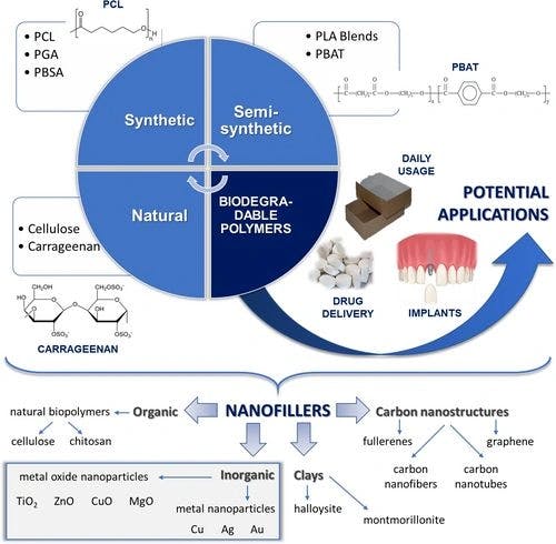 Metal and metal oxides nanoparticles as nanofillers for biodegradable polymers