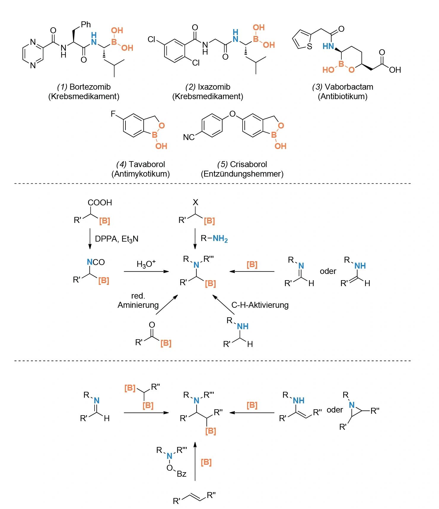 Neues zur Synthese von Aminoboronsäuren