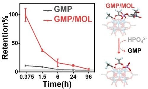 Phosphate Coordination to Metal‐Organic Layer Secondary Building Units Prolongs Drug Retention for Synergistic Chemoradiotherapy