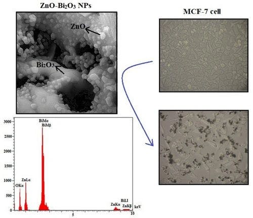 Biosynthesis of ZnO, Bi2O3 and ZnO−Bi2O3 bimetallic nanoparticles and their cytotoxic and antibacterial effects