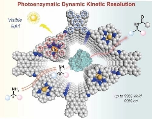 Covalent Organic Frameworks Based Photoenzymatic Nano‐reactor for Asymmetric Dynamic Kinetic Resolution of Secondary Amines
