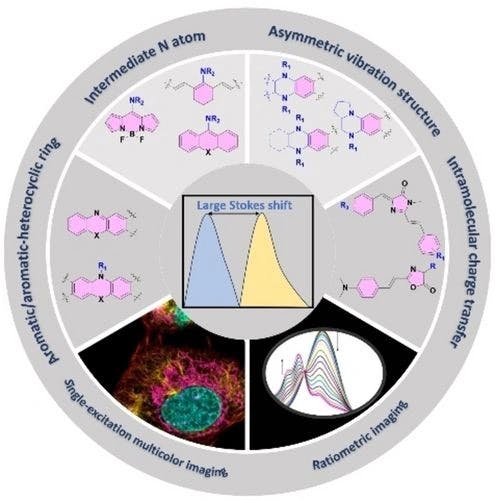 Organic fluorophores with large Stokes shift for bioimaging and biosensing