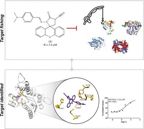Spiro‐Acridine Compound as a Pteridine Reductase 1 Inhibitor: in silico Target Fishing and in vitro Studies