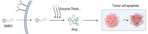 Small Molecule‐Drug Conjugates: Opportunities for the Development of Targeted Anticancer Drugs