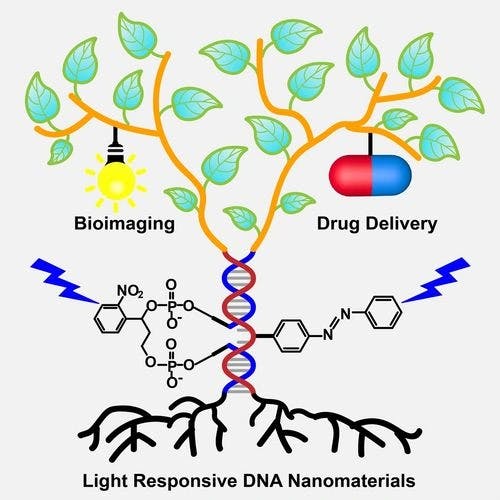 Light Responsive DNA Nanomaterials and Their Biomedical Applications