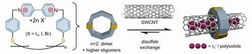 Simultaneous Inside and Outside Functionalization of Single‐Walled Carbon Nanotubes