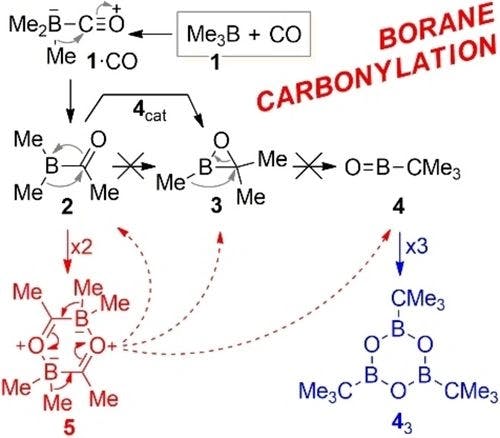 Carbonylation of Boranes – A Computational Study