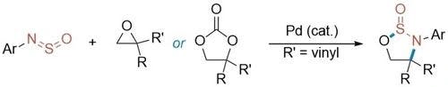 A Palladium‐Catalyzed Regioselective [3+2] Annulation Strategy to 1,2,3‐Oxathiazolidine‐2‐oxides