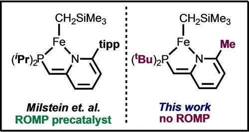 Synthesis and Characterization of Dearomatized Pyridine‐Derived Alkyl‐Amido‐tert‐Butylphosphine Iron(II) Complexes