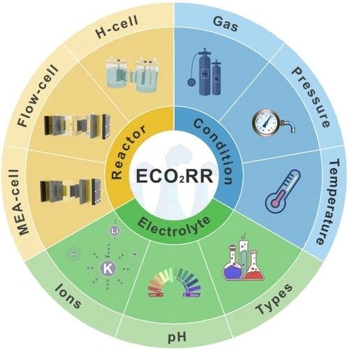 Influence of Environmental Conditions on Electrocatalytic CO2 Reduction