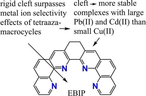A maximally preorganized tetra‐pyridyl ligand. Rigid five‐membered chelate rings enhance selectivity for large metal ions, such as Th(IV), UO22+ and Lanthanides. A DFT and Thermodynamic study