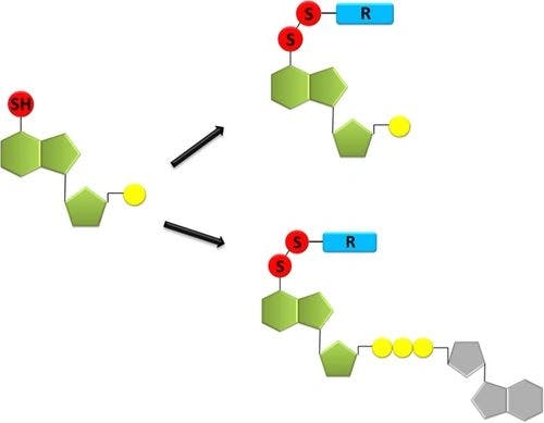 Exploring an Optimised Approach for Converting 6‐Thioguanosine Derivatives to Asymmetric Disulphides