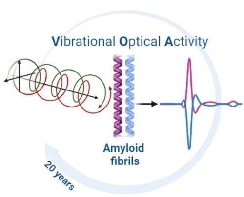 Vibrational Optical Activity of Amyloid Fibrils